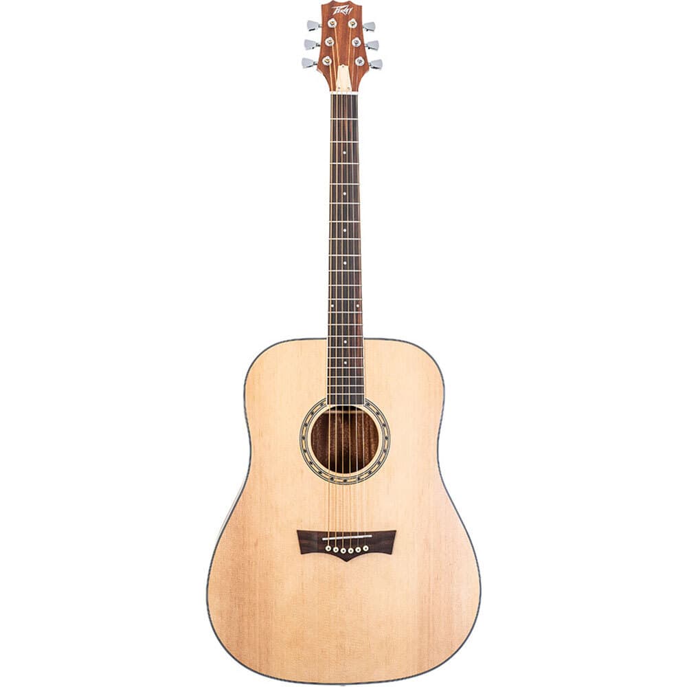 Peavey Acoustic Guitar