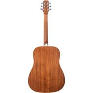 Peavey Acoustic Guitar